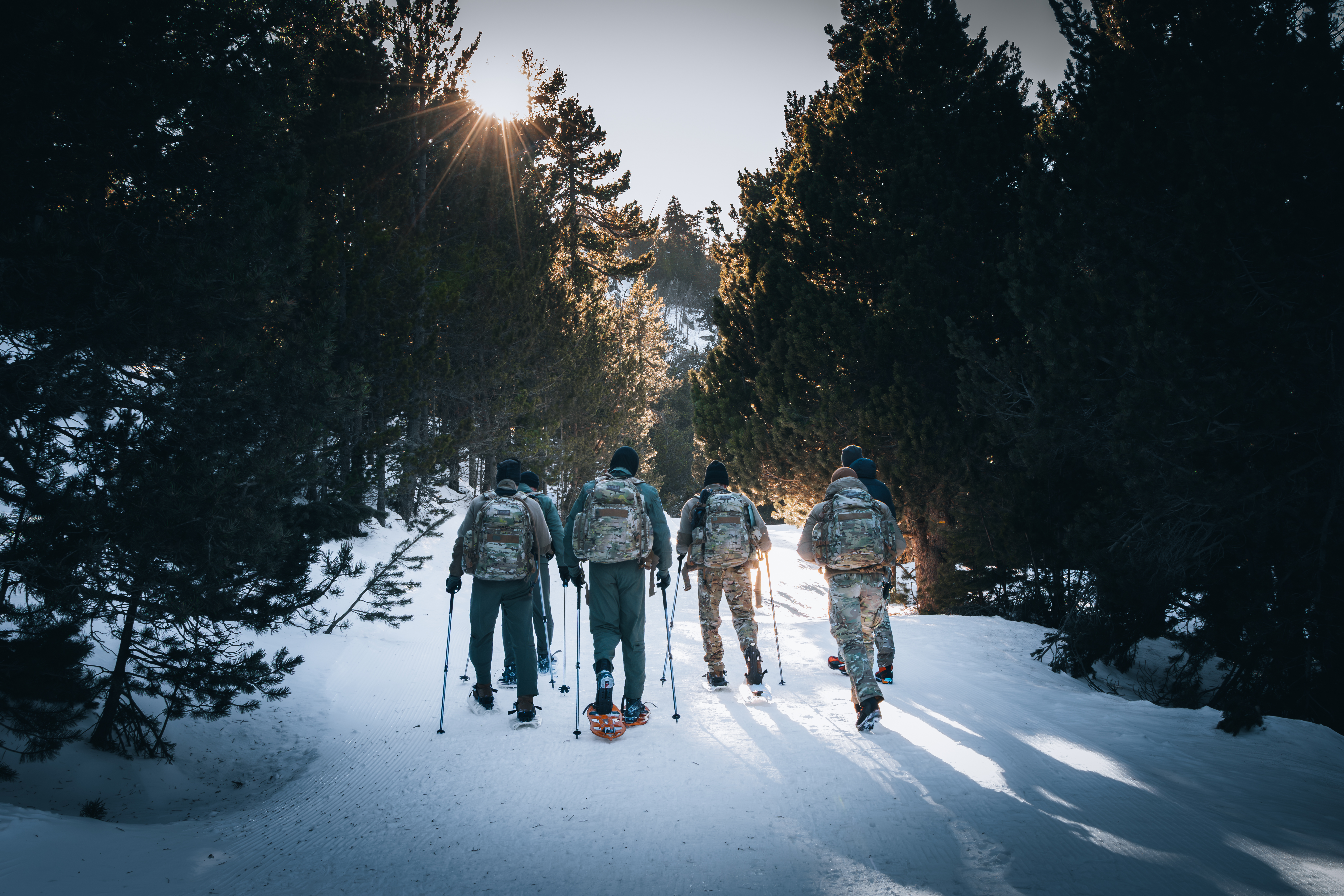 COVER 20260327 LFSY 26 Bollion 8