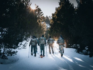 COVER 20260327 LFSY 26 Bollion 8