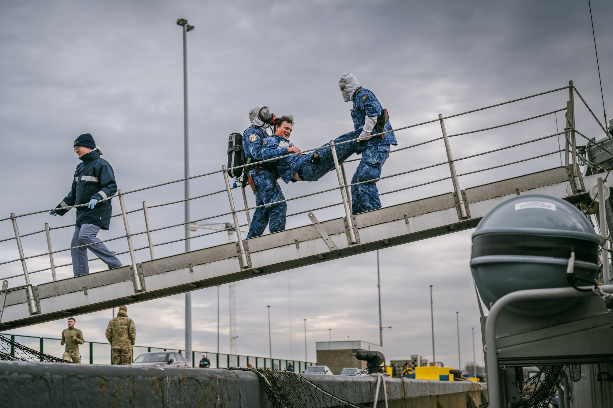 HAVENBRAND LOBELIA MASCAL MIL ┬®JORN URBAIN 5