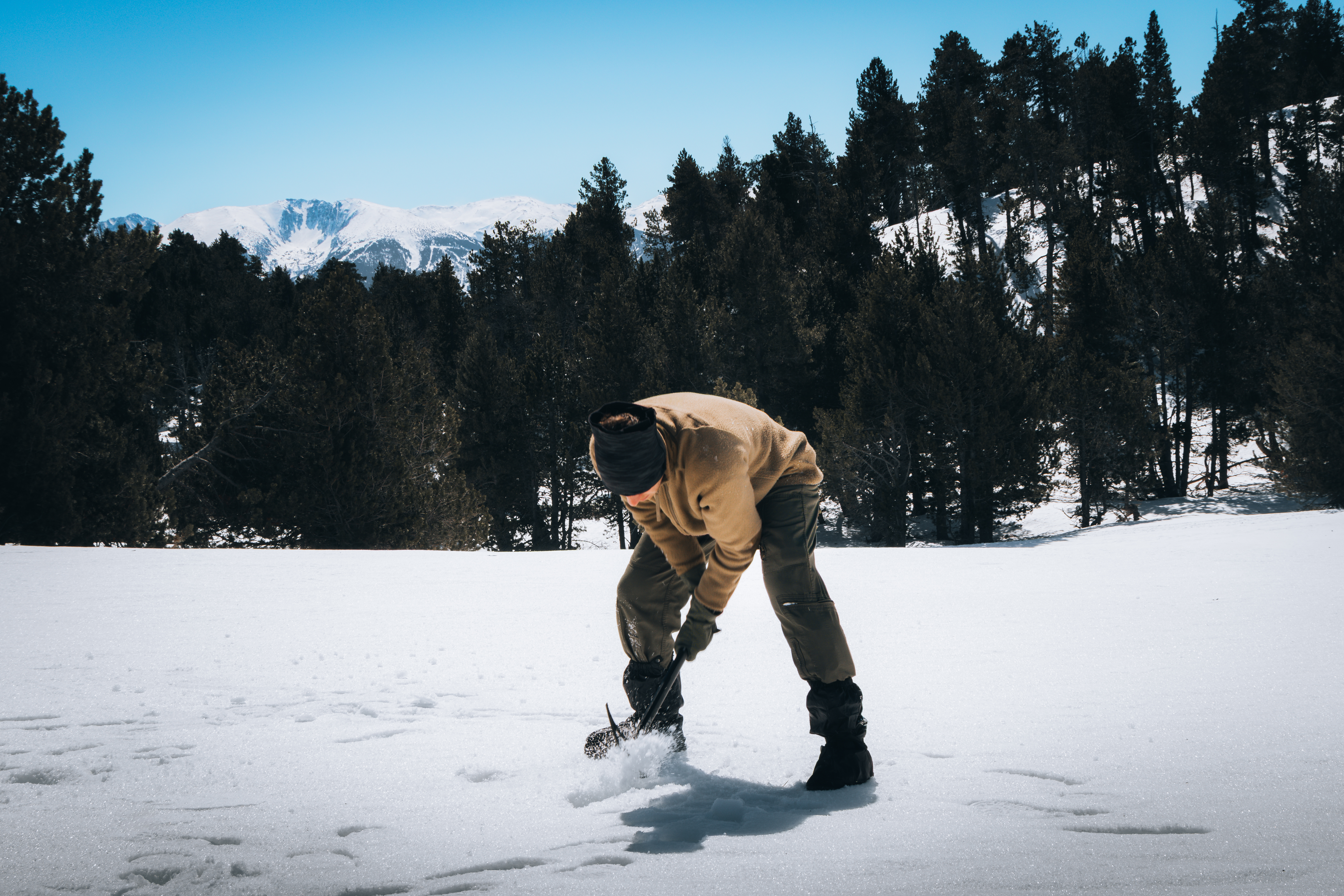 20260327 LFSY 26 Bollion 15