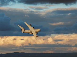 26Ed6c00 31F7 4A98 Af70 2418C81b3bcb (1)