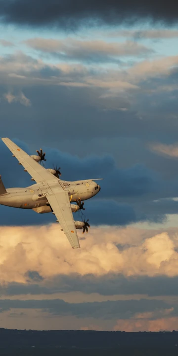 26Ed6c00 31F7 4A98 Af70 2418C81b3bcb (1)