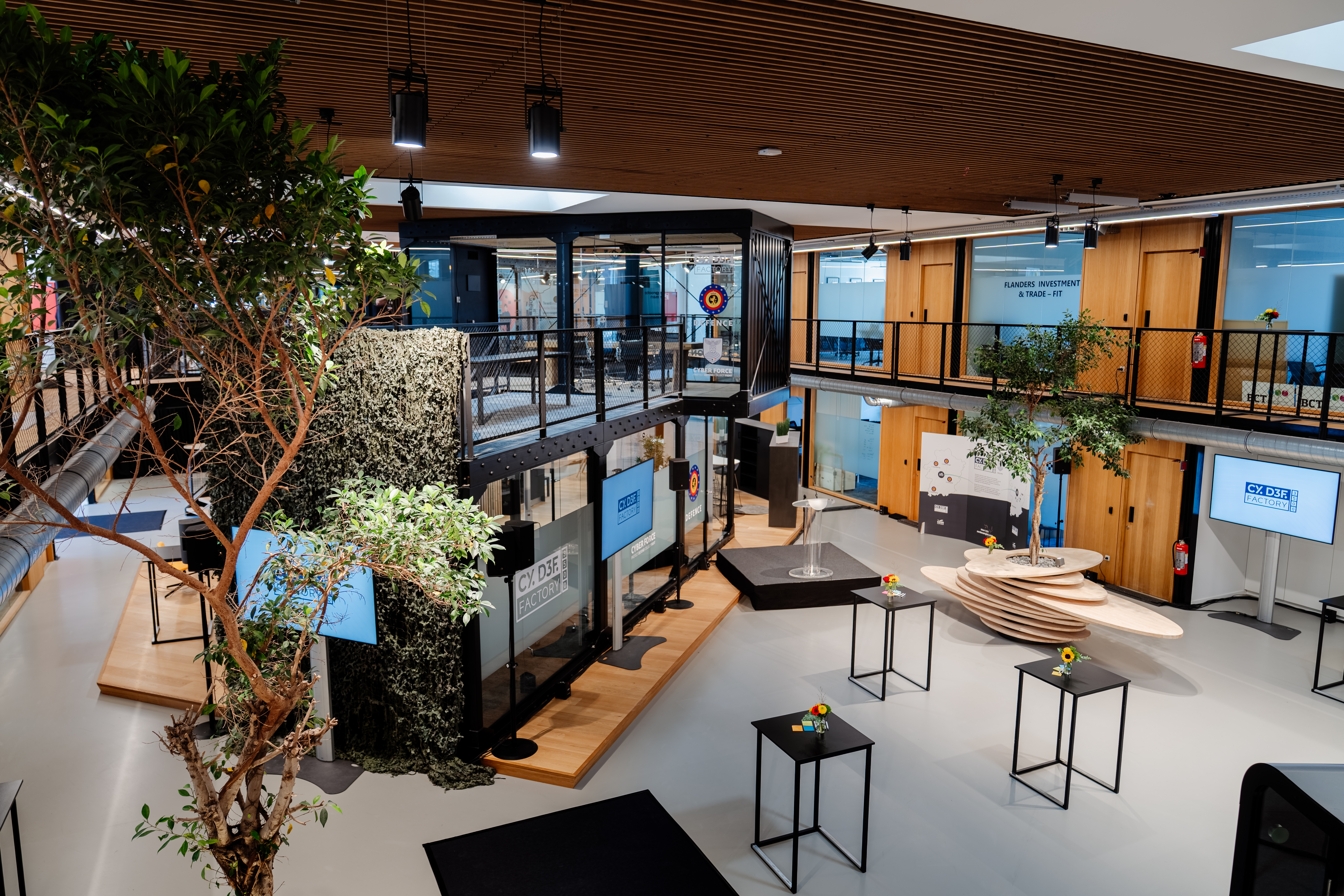 Cordacampus@Quentinmoonen COVER