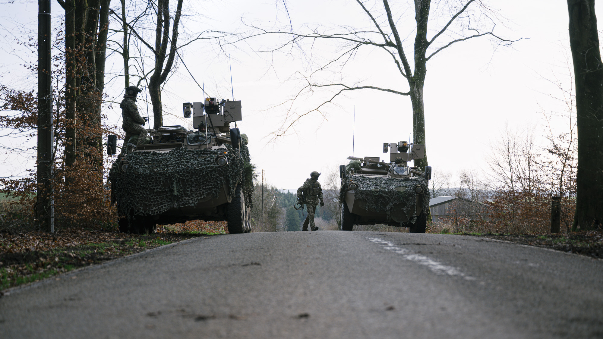 20251201 DSC LG 20250241 Yellowgardian COVER 16 9 4918