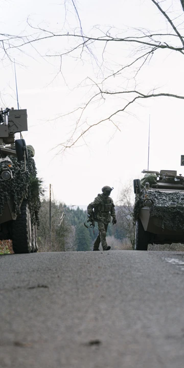 20251201 DSC LG 20250241 Yellowgardian COVER 16 9 4918