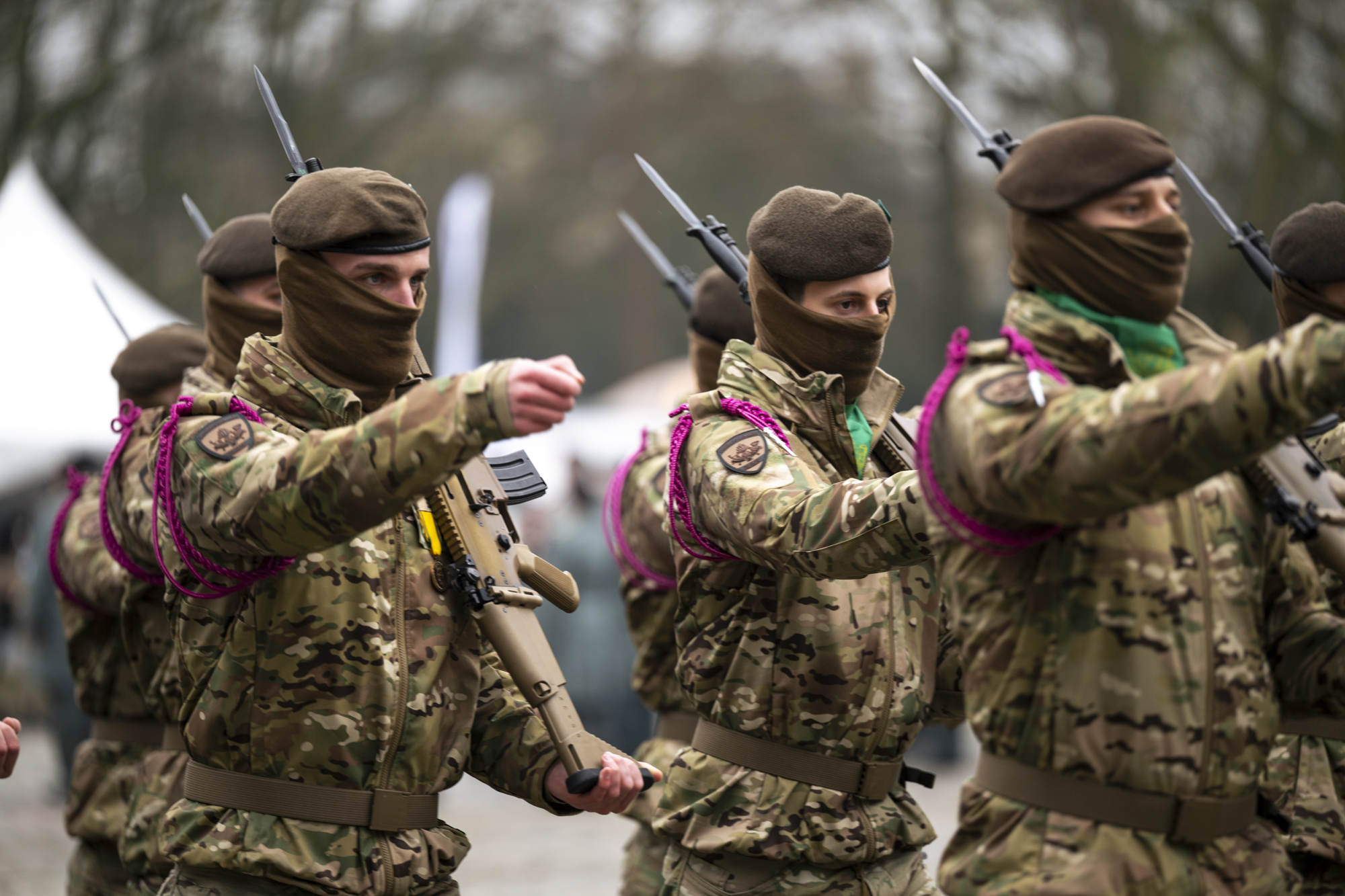 20260203 DSC LG 20260006Reactivation1ere T7eme Brigade 0327