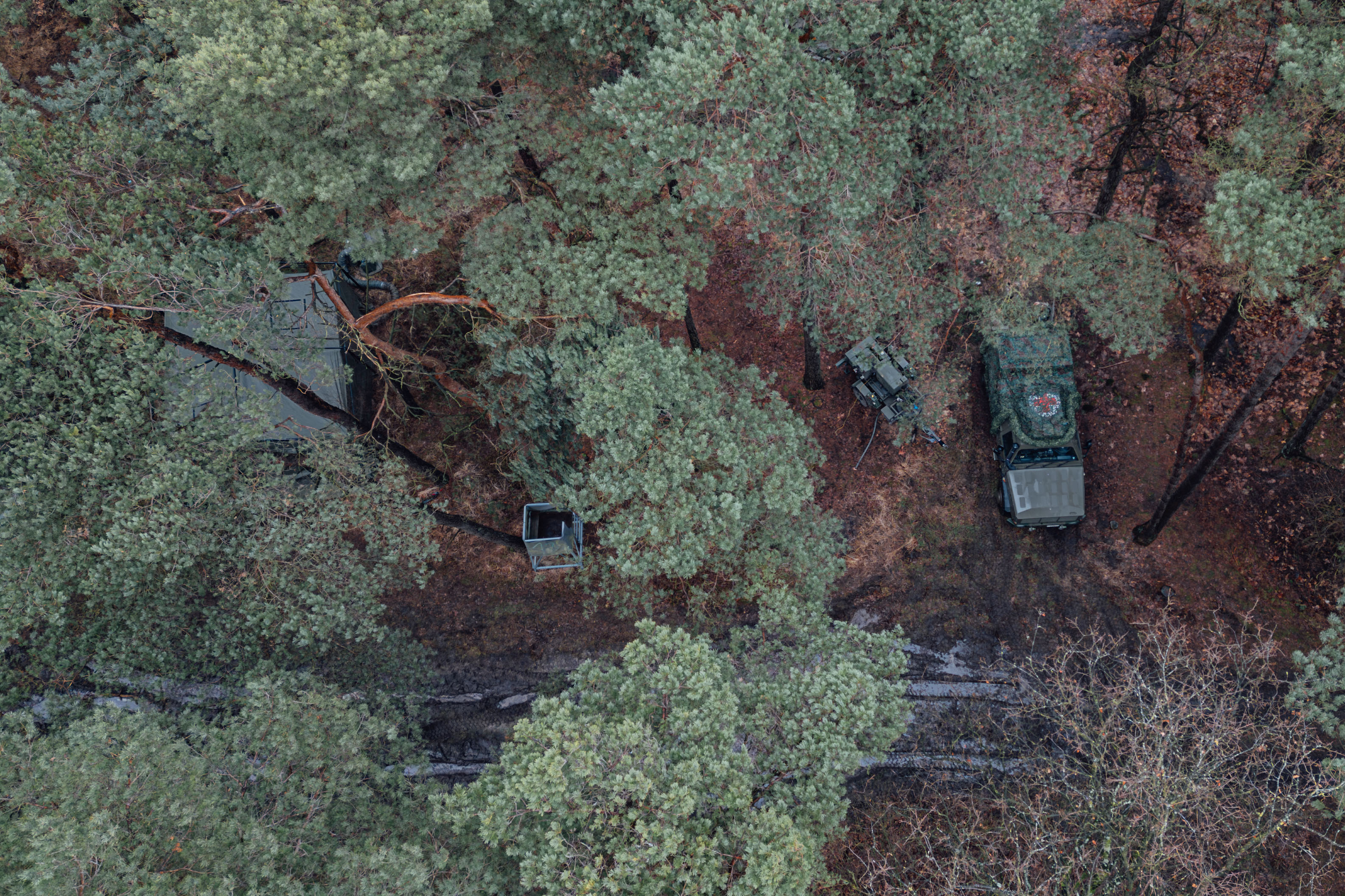 Clntmstr Red Snake 130226 21