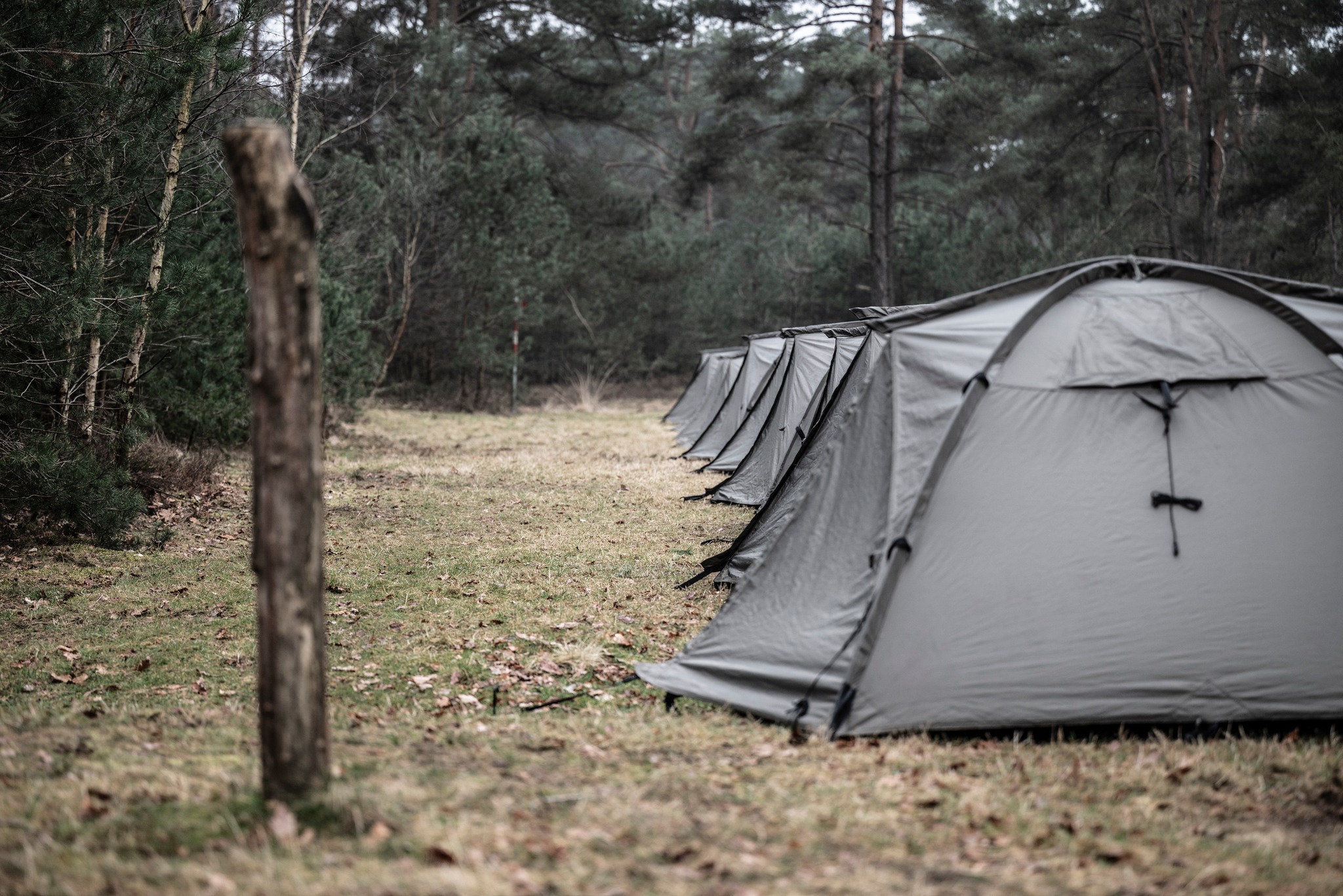 483634954 974779334760300 8916733576680087470 N